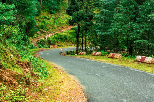 Road trip to Nainital